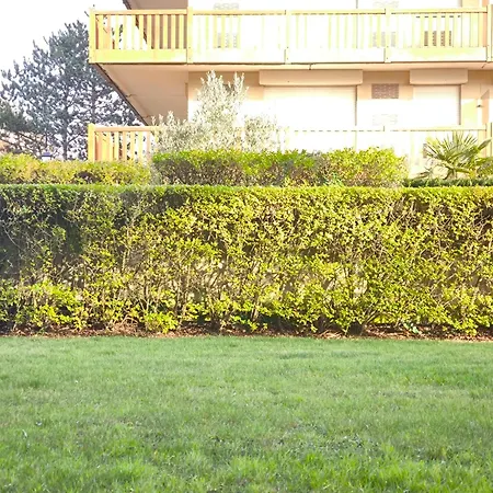 Cocon Διαμέρισμα *