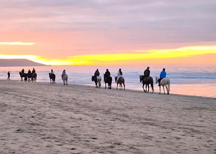 Διαμέρισμα Cocon Ντοβίλ