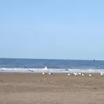 Cocon * 도빌