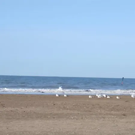 Cocon * Deauville