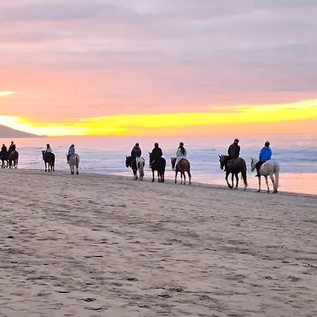 アパート Cocon ドーヴィル